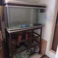 آکواریم