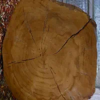 میز روستیک|مبلمان خانگی و میز عسلی|کرمانشاه, |دیوار