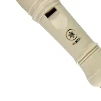 فلوت آموزشی یاماها|سازهای بادی|نیشابور, میدون بار|دیوار