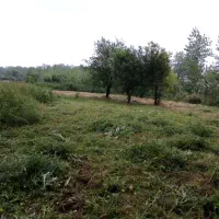 فروش-زمین-باغی-آینده-دار-مالکم