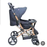 کالسکه دلیجان مدل بنیتا