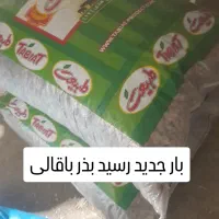 باقالی بزر خوراکی بزری|خوردنی و آشامیدنی|همدان, |دیوار