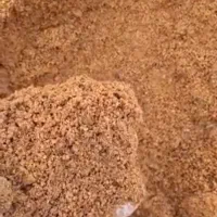 هسته و کنجاله زیتون