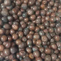 عناب خراسان|خوردنی و آشامیدنی|نطنز, |دیوار