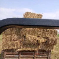 یونجه پرس شده چین دوم