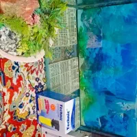 آکواریوم|ماهی|خرمشهر, |دیوار