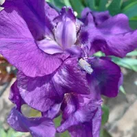 کارگرهستم آقاهرکاری باشه