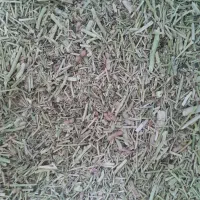 خارکوبیده