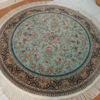 فرش 9متری|فرش|رشت, کوی جام جم|دیوار