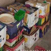 کارتون موز