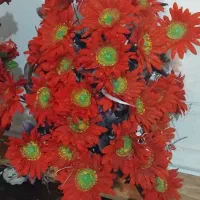 دسته گل زیبا بفروش میرسد|گل مصنوعی|زابل, |دیوار