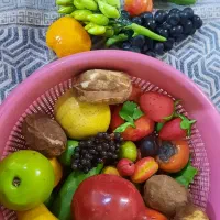 میوه مصنوعی پلاستیکی|صنایع دستی و سایر لوازم تزئینی|مشهد, آزادشهر|دیوار