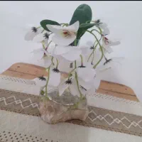 همه وسایل نوسالم