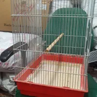 قفس پرنده|لوازم جانبی حیوانات|قرچک, محمد آباد|دیوار