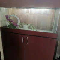 اکواریوم شیشه خم