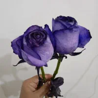 حواله سایپا سهند S