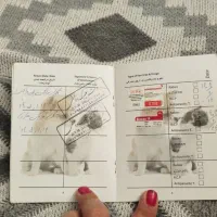 گربه فروشی|گربه|اردبیل, |دیوار