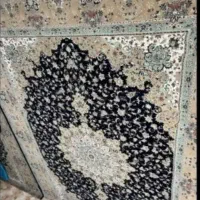 فرش|فرش|اشترینان, |دیوار
