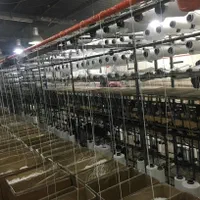 کش ماسک پرستاری به قیمت عمده ملت بلون اسپان بدنه|آرایشی، بهداشتی، درمانی|رباط‌کریم, رباط‌کریم|دیوار