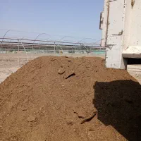 کود حیوانی ( گاوی )|خدمات باغبانی و درختکاری|جیرفت, |دیوار