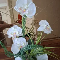 گلدان با گل ارکید