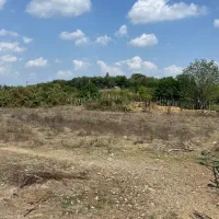 ۱۳۰۰۰ متر زمین ویژه سرمایهگذاری در گیلان|فروش دفتر صنعتی، کشاورزی، تجاری|شفت, |دیوار