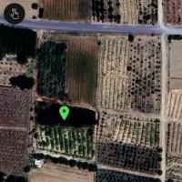 زمین کشاورزی. روستای اناج|فروش زمین و ملک کلنگی|قره چای, |دیوار