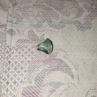 هفت عدد انگشترای کهنه وبکر|کلکسیون اشیاء عتیقه|قدس, شهر‌قدس|دیوار