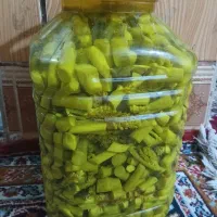 ترشی بیلحر