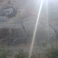 کارت سوخت