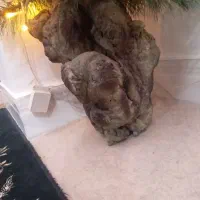 درخت کاج زیبا به همره چراغ|گل مصنوعی|ملایر, |دیوار