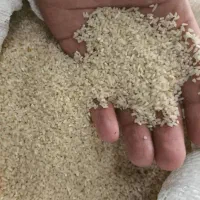 لاشه برنج هاشمی و لاشه برنج صدری|خوردنی و آشامیدنی|رشت, جهاد|دیوار