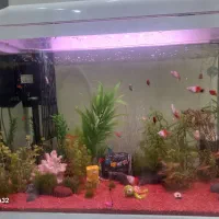 فروش آکواریوم دلسا مدل K580