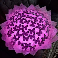 بوکت پروانه چراغ دار