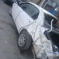 دنا تصادفی 95