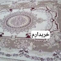 فرش|فرش|بیرجند, |دیوار