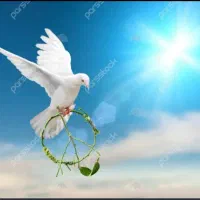 کمپ ترک اعتیاد آقایان (اجباری .تمایلی)