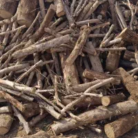 خرید چوب|خدمات باغبانی و درختکاری|رامهرمز, |دیوار