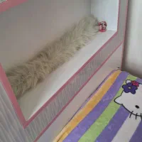 تخت نوجوان پسر و دختر|تخت و سرویس خواب|تهران, سازمان برنامه شمالی|دیوار