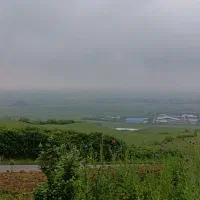 زمین-باغی-لب-آسفالت