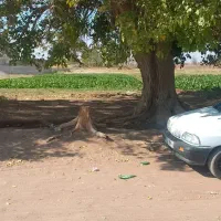 زمین|فروش دفتر صنعتی، کشاورزی، تجاری|کرمان, |دیوار