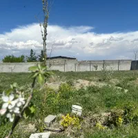 باغ-شاهنامه-سند-دار