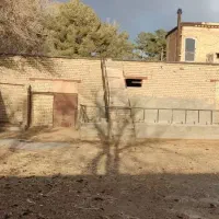 دامداری