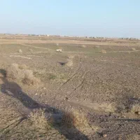 زمین-فرزندآوری