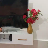 گلدان پلاستیکی