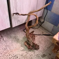 فروش آکواریوم