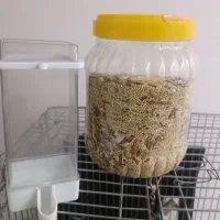 قفس بزرگ|لوازم جانبی حیوانات|تهران, تولید دارو|دیوار