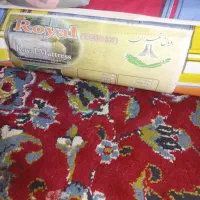 تشگ خیلی خوب رویال