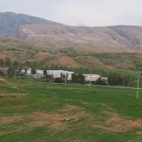 مزرعه مرغداری و گلخانه و باغ و ویلا|فروش دفتر صنعتی، کشاورزی، تجاری|لالی, |دیوار