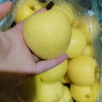 سیب درجه یک